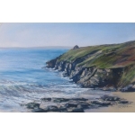 A Rinsey Day