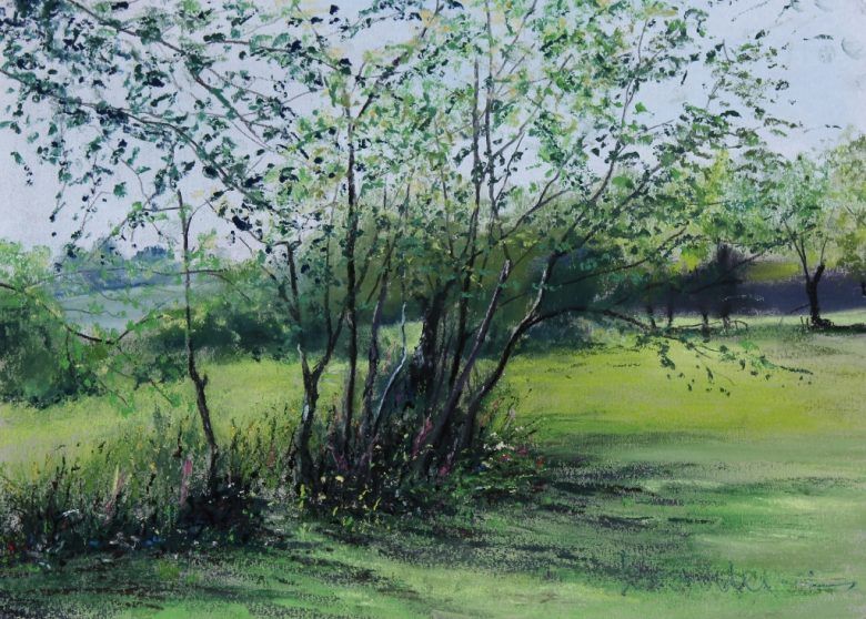 Shades of Green 