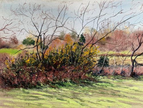 Bracken and Gorse